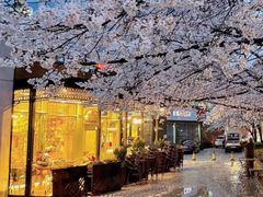 -玛格萝妮比萨屋(四平店)