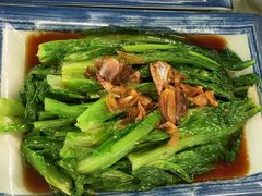 -百利鸽王(紫薇路店)