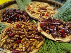 -昆虫窝子·特色云南菜(拓东路总店)