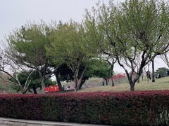-塘沽森林公园