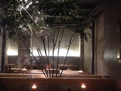 大树 哈哈 很有大自然的味道-ZooYoo佐佑咖啡(鼓楼店)