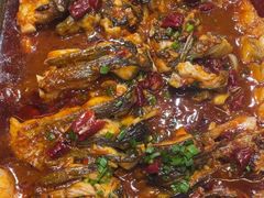 -鱼酷活鱼烤鱼(沈阳大悦城店)