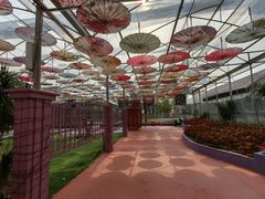 -广东花都香草世界旅游度假区