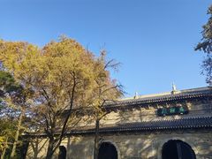 -灵谷景区