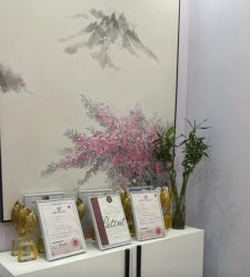 -紫琪尔胸部养护中心