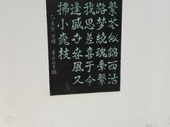 -桃花堤公园