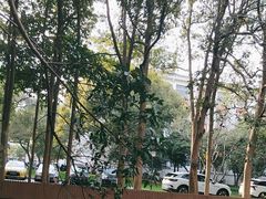 -浙江大学(玉泉校区)