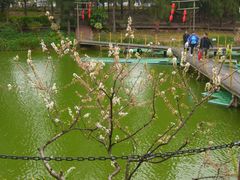 -松山湖梦幻百花洲