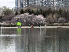 -太阳宫公园