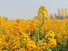 -中国天府农业博览园