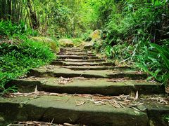 -缙云山景区