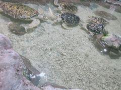 -南昌海洋公园