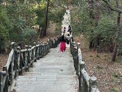 -青龙山国家森林公园