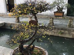 -惠山古镇·寄畅园