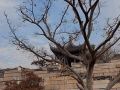 -广富林郊野公园