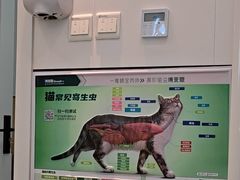 -瑞派·关忠动物医院·猫专科·犬专科(三环新城店)