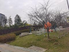 -武汉园博园(武汉自然博物馆)