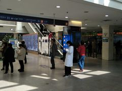 -上海市东方医院(总院)