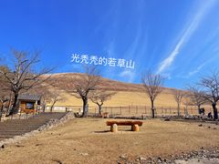 -奈良公园