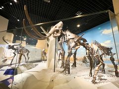 -国家自然博物馆