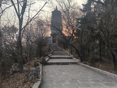 -高尔山公园