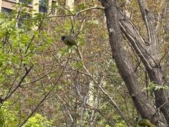 -汉长安城未央宫国家考古遗址公园