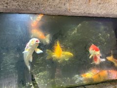 -古龙峡云天玻霸
