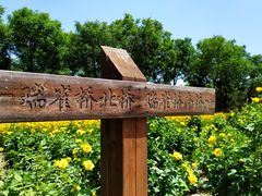 -大兴滨河森林公园