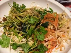 -老郑家东北春饼(龙悦居店)
