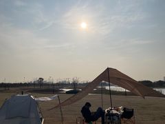 -春花秋色城市公园