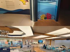 -上海海洋水族馆