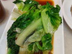 -金鼎轩(方庄天坛店)