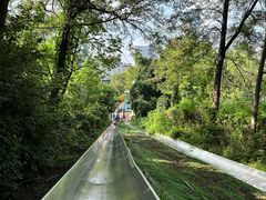 -富斯特索道