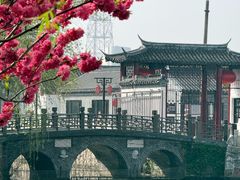 -水绘园