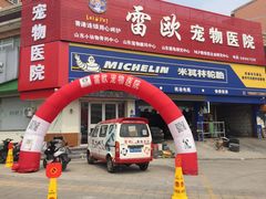 -瑞派雷欧宠物医院·24h夜诊·心脏骨科牙科·全科重症转诊中心(无影山店)