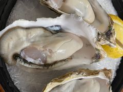 -冰之海挪威三文鱼(海珠店)