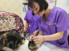 -瑞鹏宠物医院·爱宠堂·骨外专科(西荷分院)