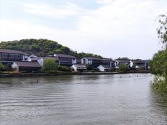 -鲁镇