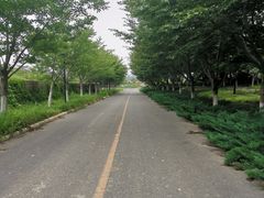 -古柏渡飞黄旅游区