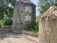 -白洋淀景区