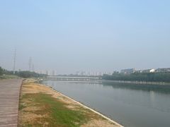 -阿五黄河大鲤鱼(海尚店)