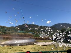 -瓷天下海丝谷