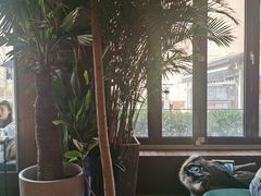 -the rug 飞毯 (朝阳公园店)