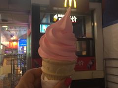 -麦当劳(石家庄北国店)