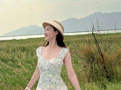 -哈素海
