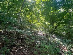 -本溪关山湖风景区