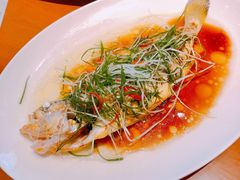 -广州富力君悦大酒店空中花园