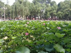 -四川大学(望江校区)