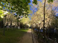 -长白岛森林公园