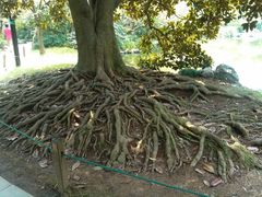 -西湖外事游船(花港观鱼码头)